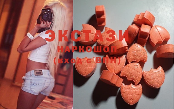 гидра Аркадак