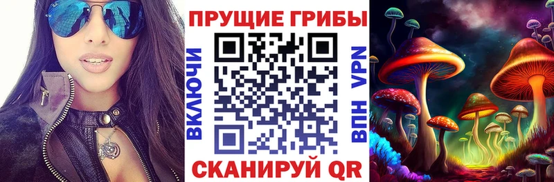 omg ссылки  Чулым  Галлюциногенные грибы GOLDEN TEACHER 